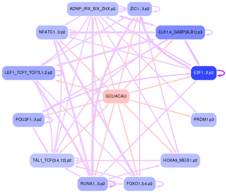 PNG image of the network