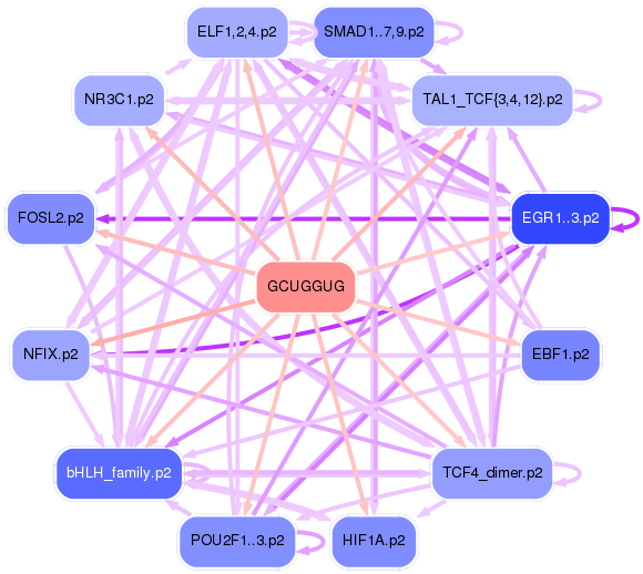 PNG image of the network