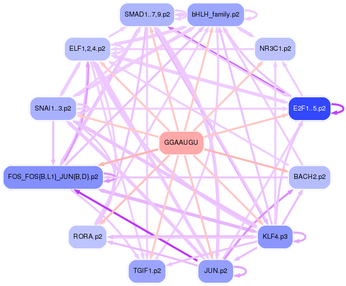 PNG image of the network