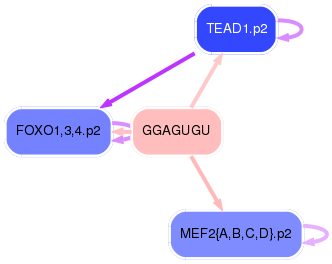 PNG image of the network