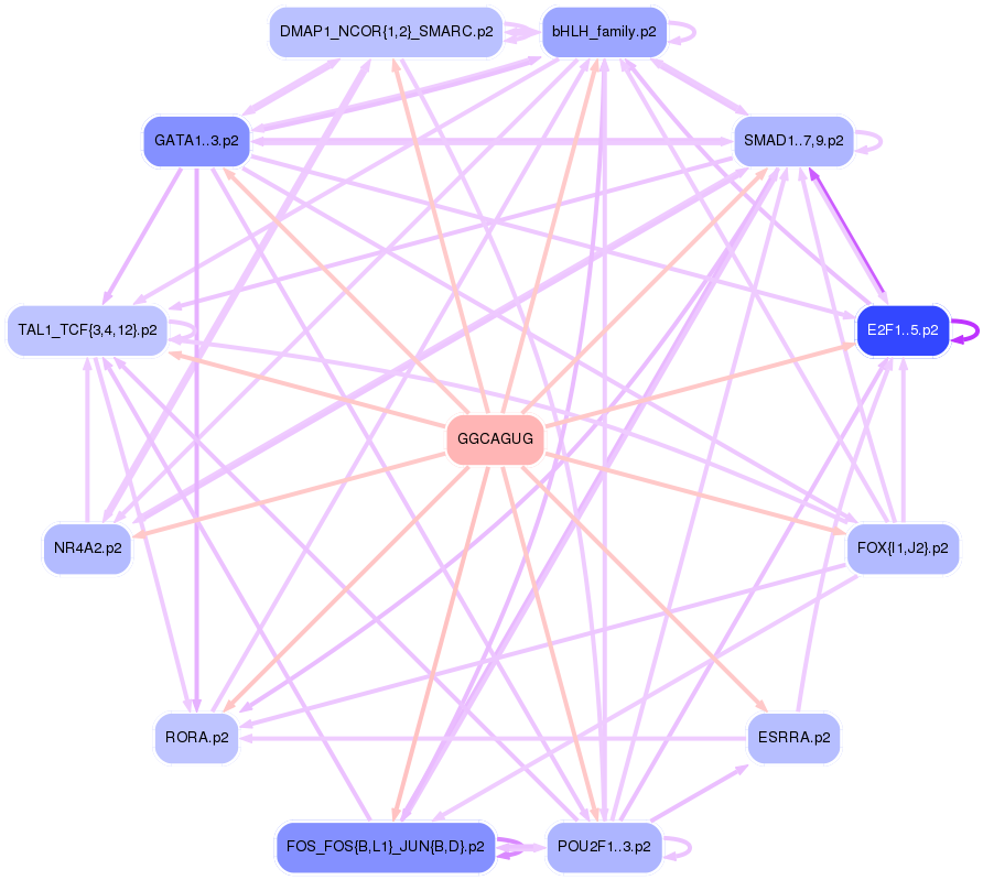 PNG image of the network