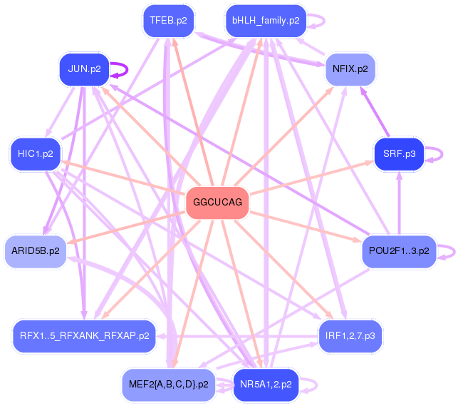 PNG image of the network