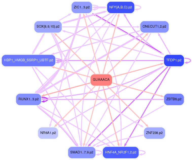 PNG image of the network