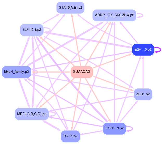 PNG image of the network