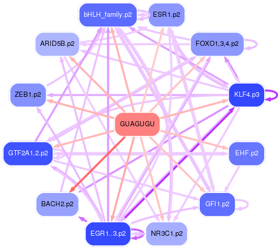 PNG image of the network
