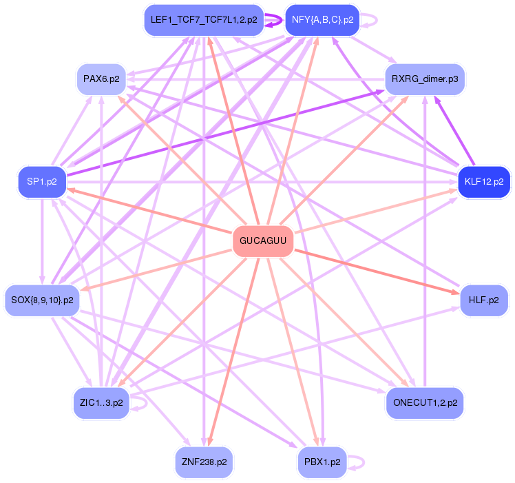 PNG image of the network