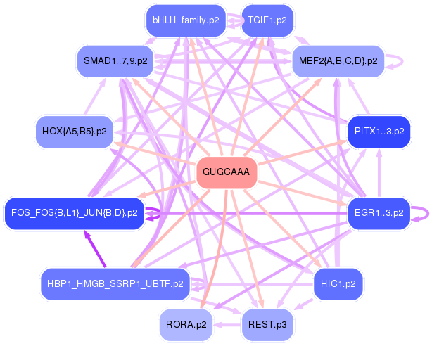 PNG image of the network