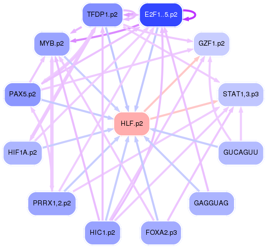 PNG image of the network