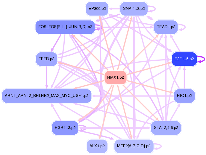 PNG image of the network