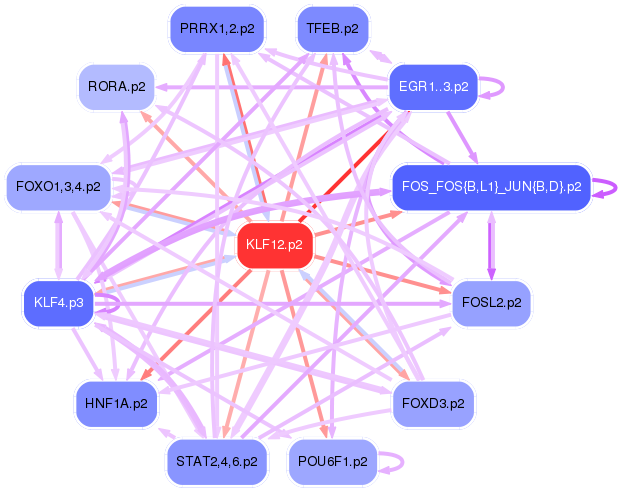 PNG image of the network