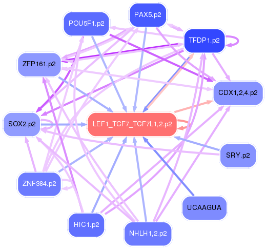 PNG image of the network