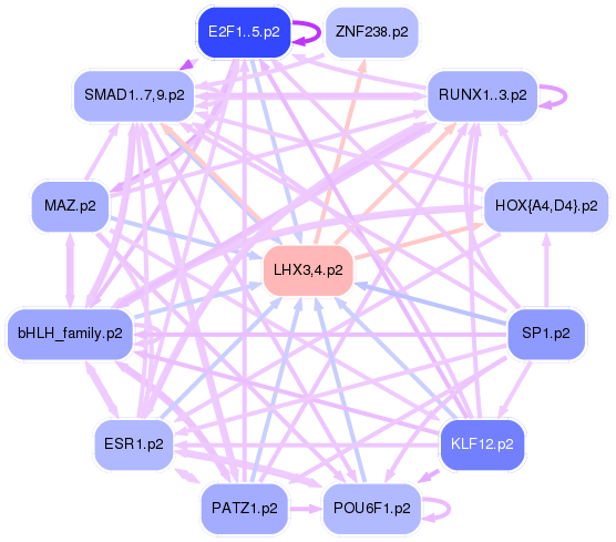 PNG image of the network