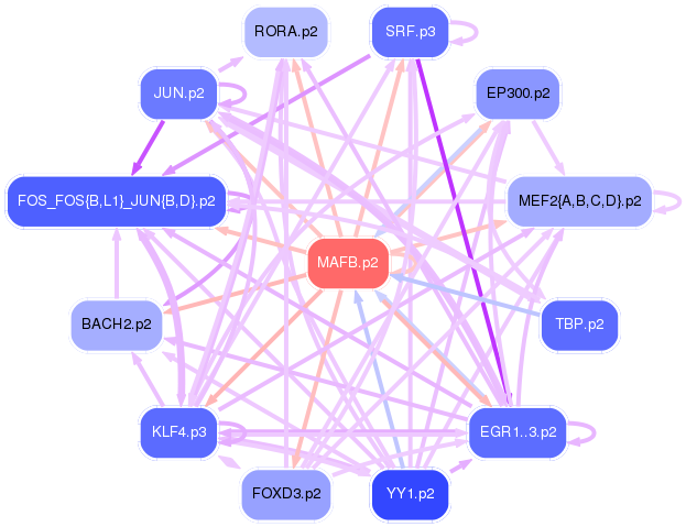PNG image of the network