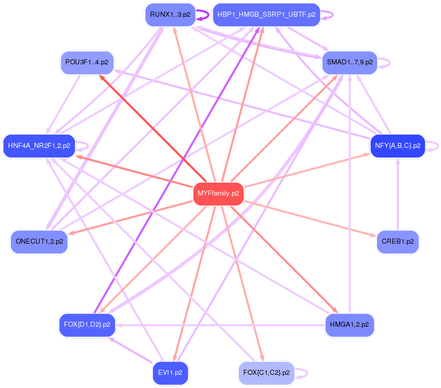 PNG image of the network