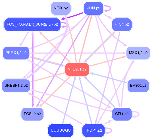 PNG image of the network