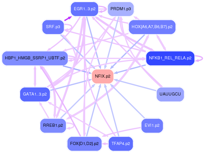 PNG image of the network
