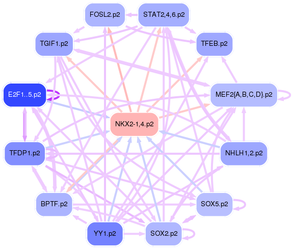 PNG image of the network