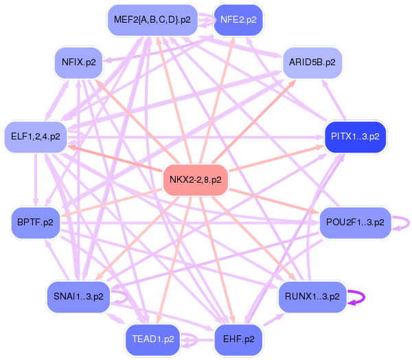PNG image of the network