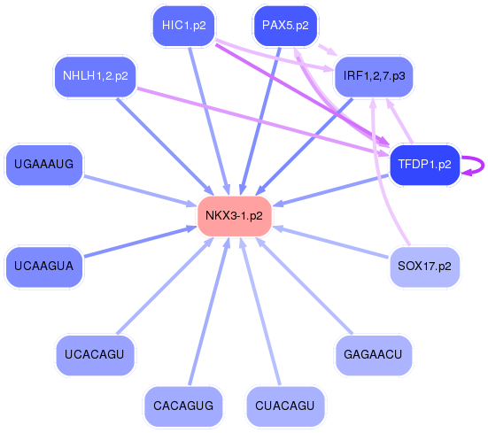 PNG image of the network