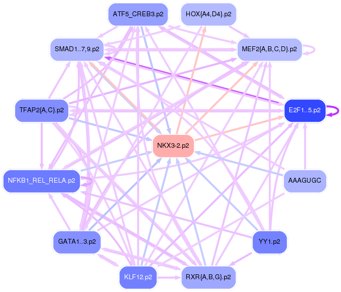 PNG image of the network