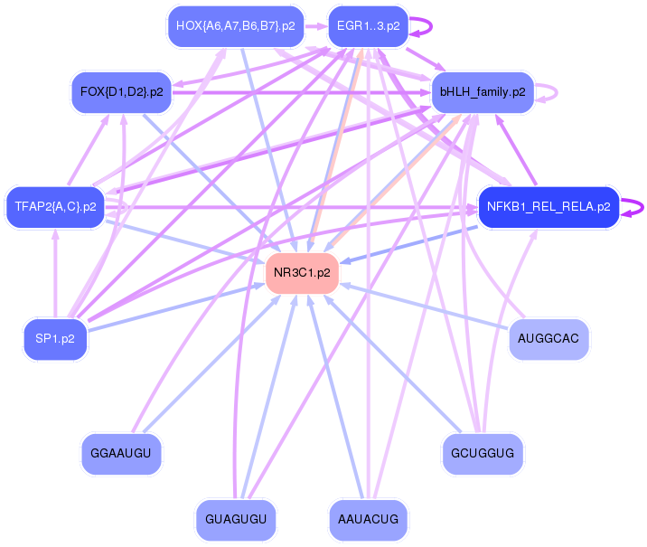 PNG image of the network