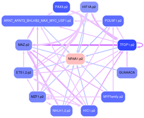 PNG image of the network