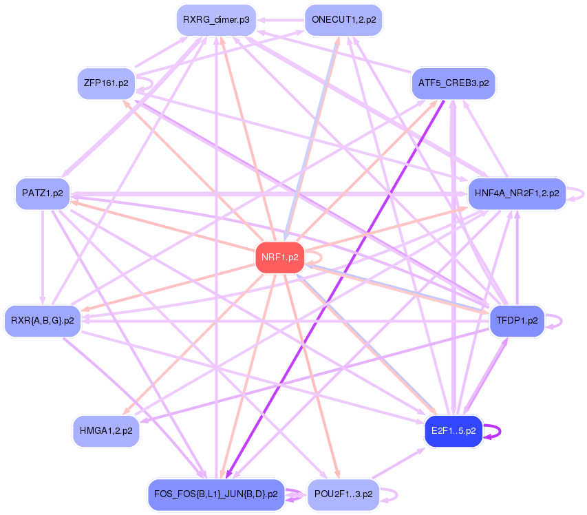 PNG image of the network