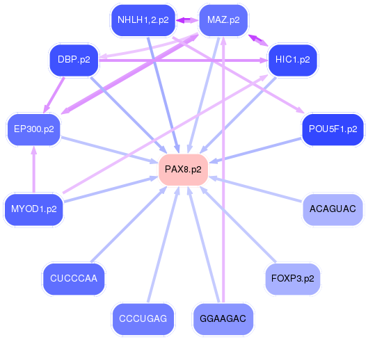 PNG image of the network