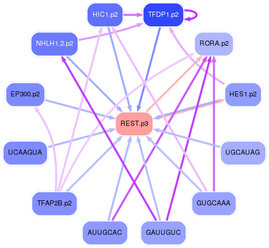 PNG image of the network