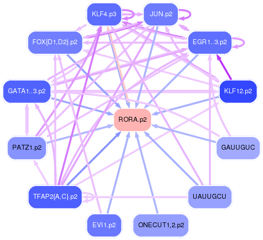 PNG image of the network