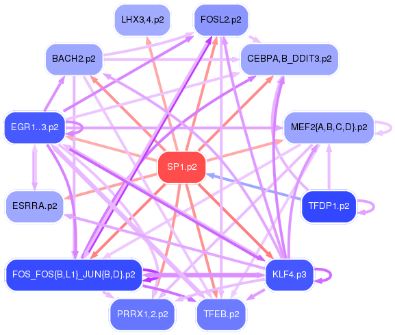 PNG image of the network