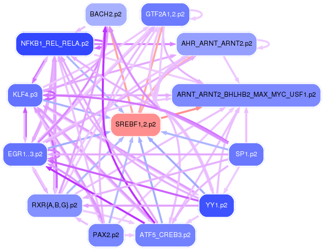 PNG image of the network