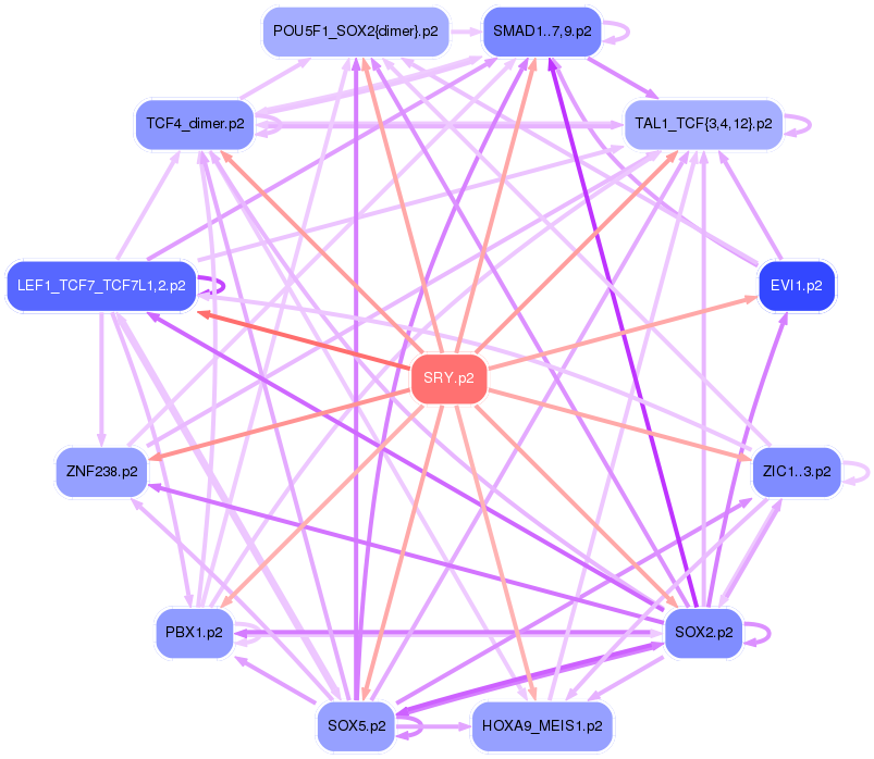 PNG image of the network