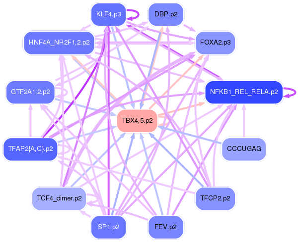 PNG image of the network