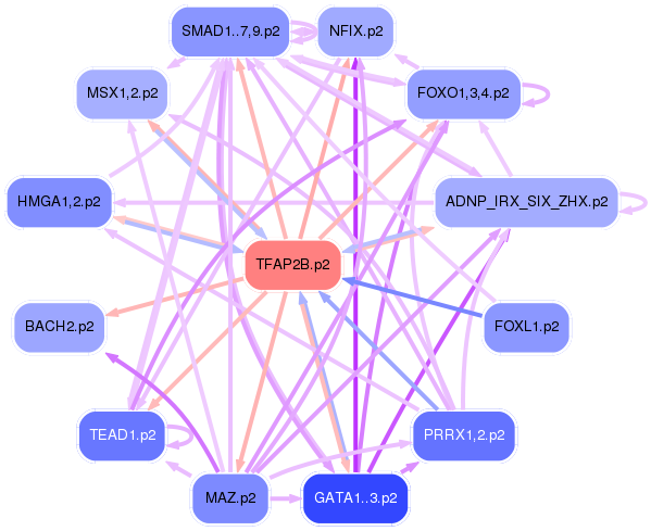 PNG image of the network