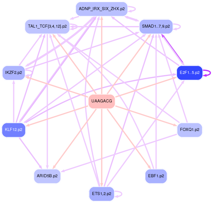 PNG image of the network