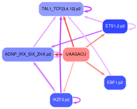 PNG image of the network