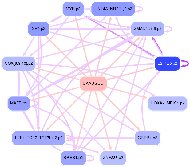 PNG image of the network