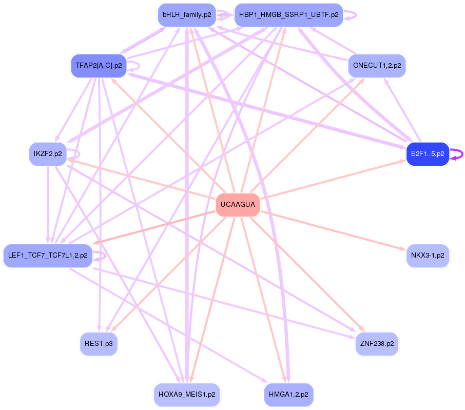 PNG image of the network