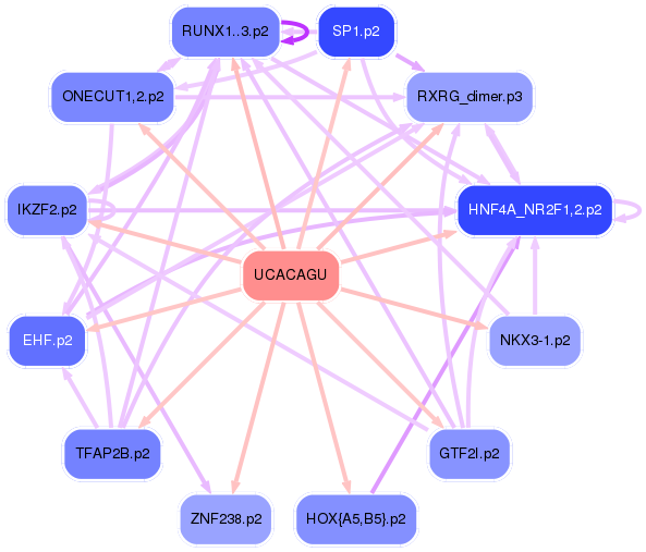 PNG image of the network