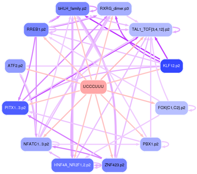 PNG image of the network