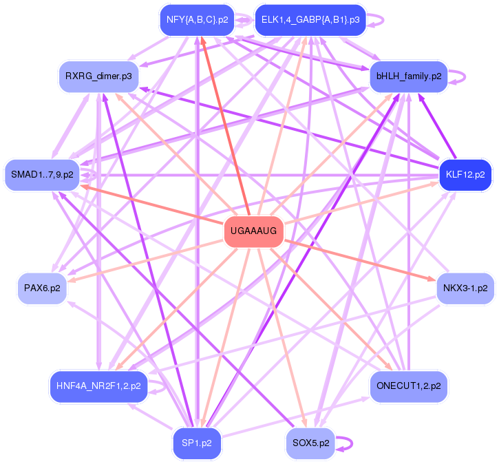 PNG image of the network