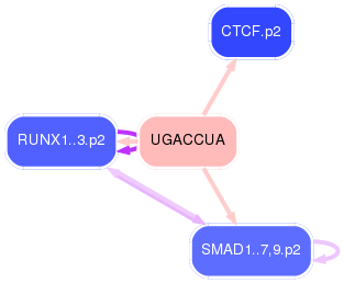 PNG image of the network