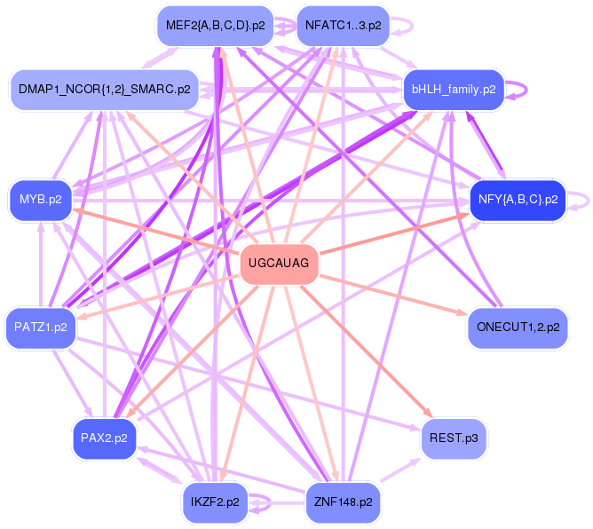PNG image of the network