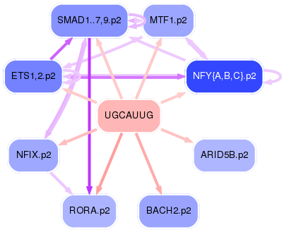 PNG image of the network