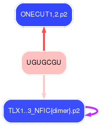 PNG image of the network