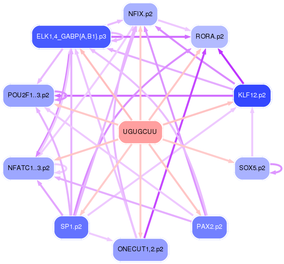 PNG image of the network