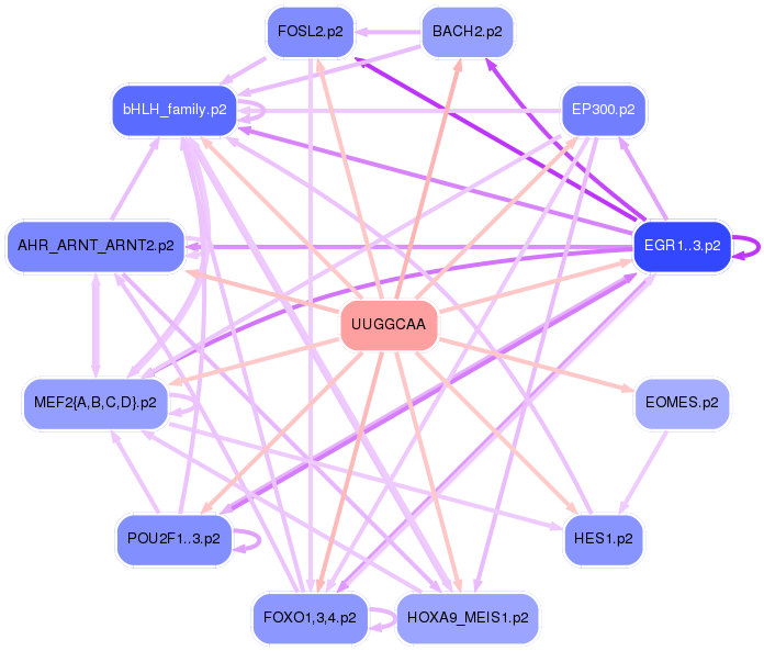 PNG image of the network