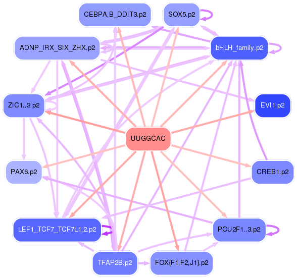 PNG image of the network