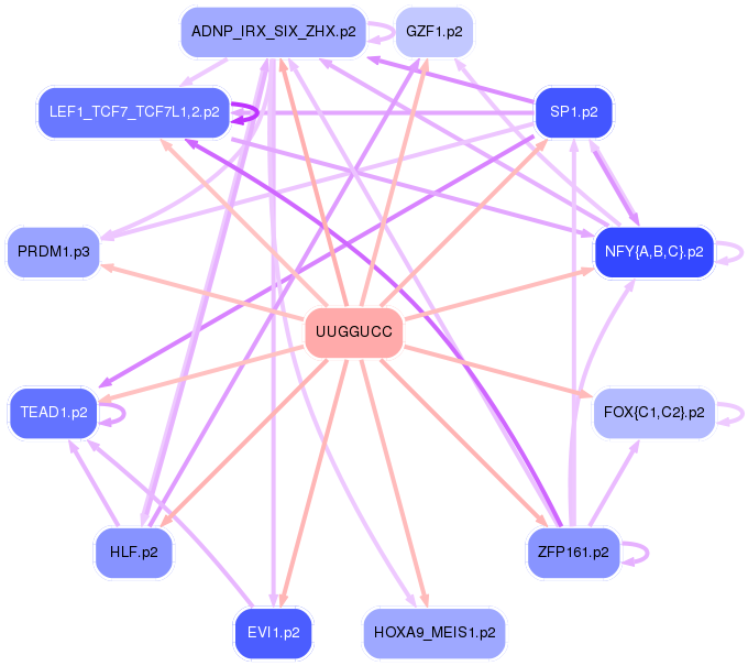 PNG image of the network
